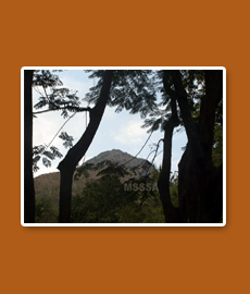 Sri seshadri Ashram